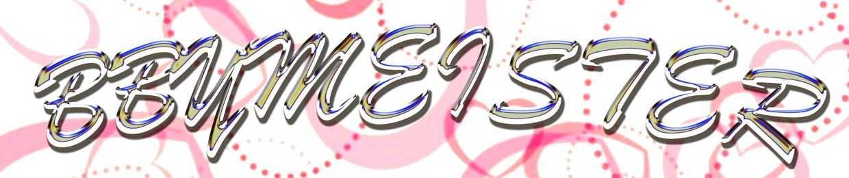 bbymeister