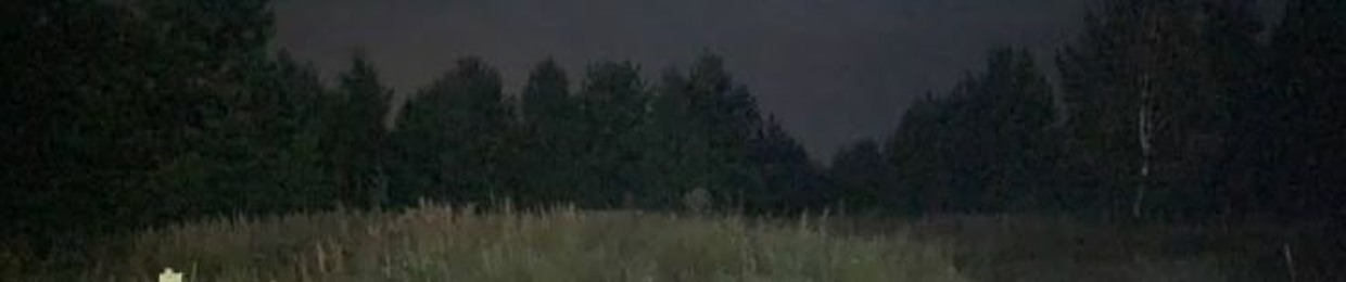 1xplains