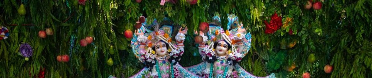 umesh nitai