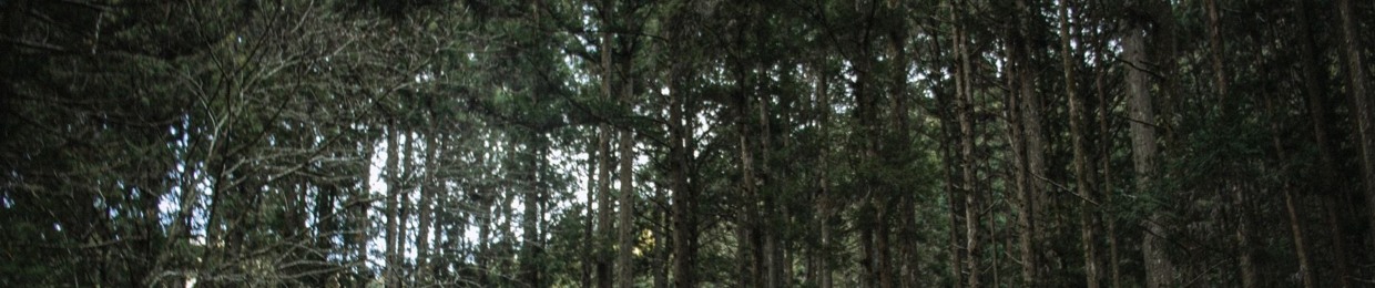 Nōme