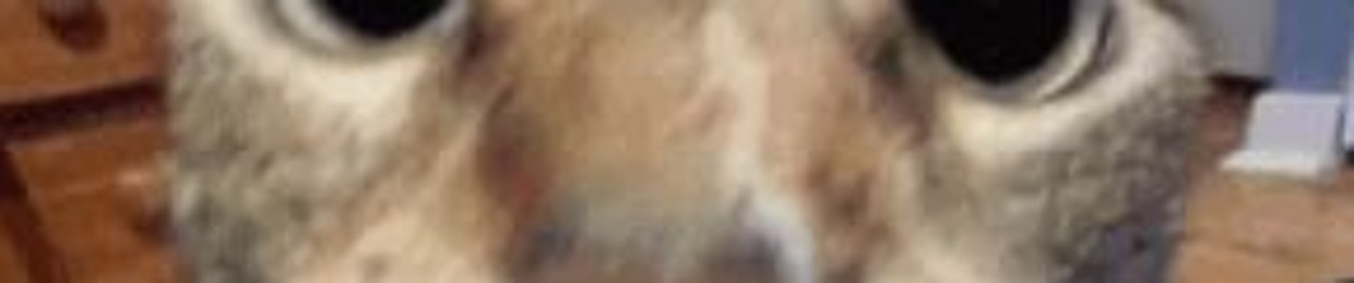 jow