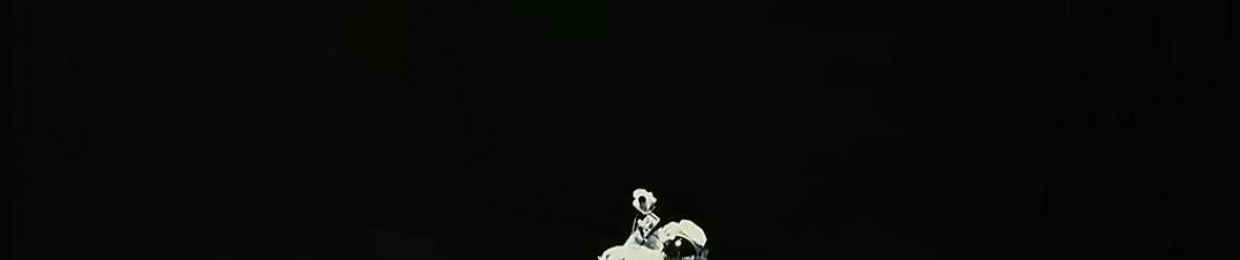 ANIMA