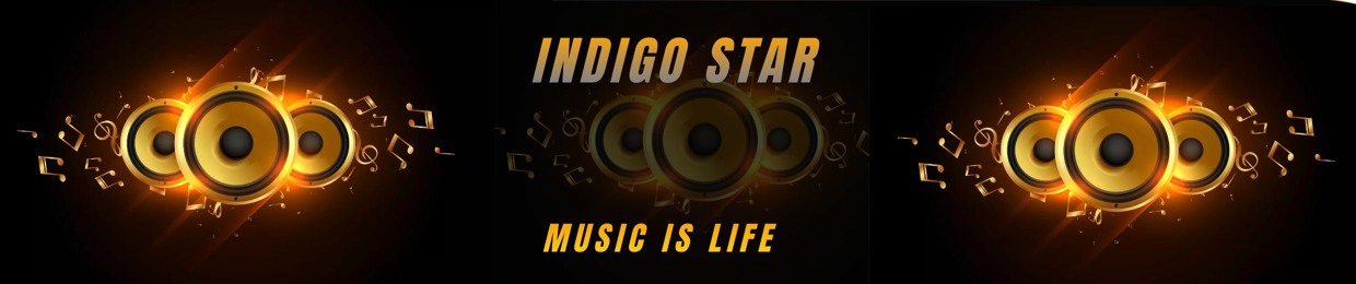 Indigo Star ✨