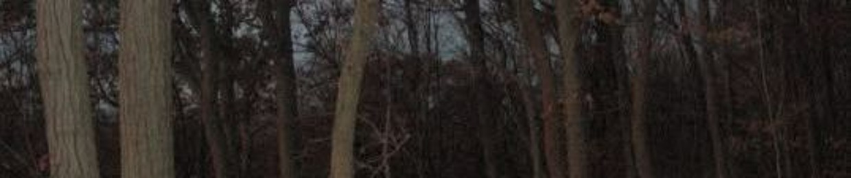 Flesh Candy (please look at bandcamp instead)