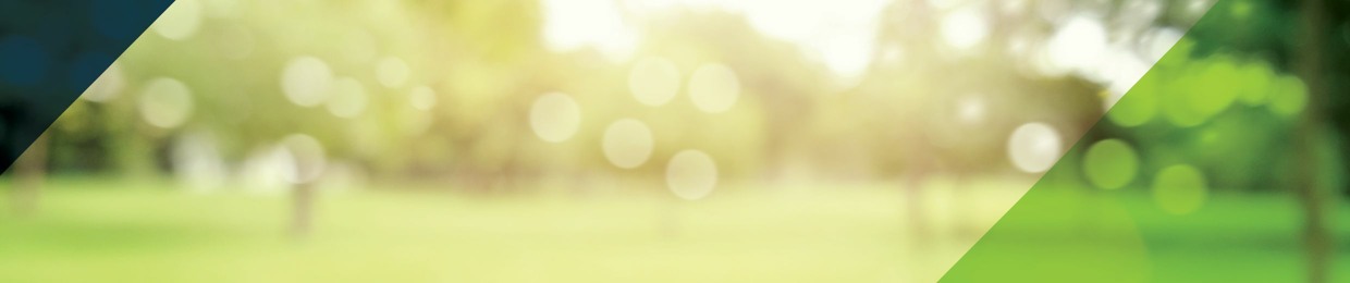 Let's Talk Parks with BerryDunn