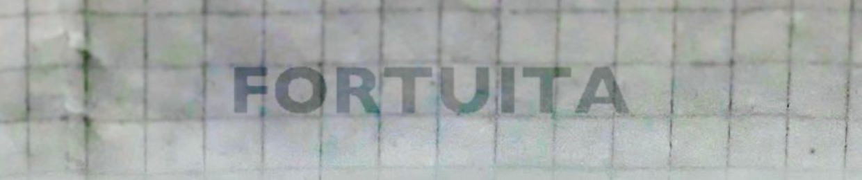 Fortuita