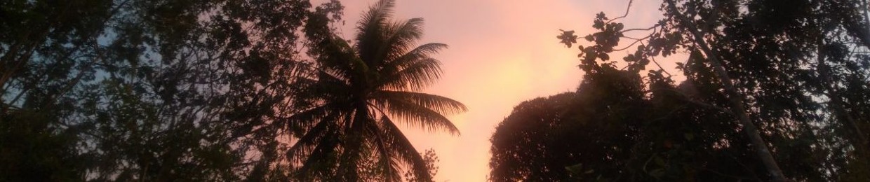 ‎Riz