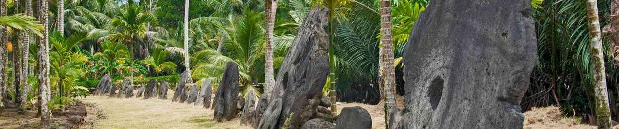 Erwin Jeremiah Falanug Rog