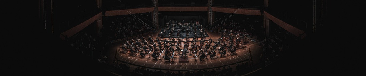 Orchestre du Capitole