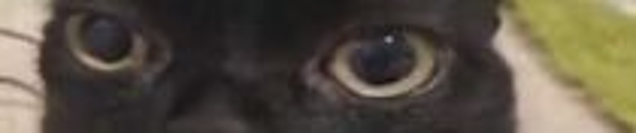 MemeMan