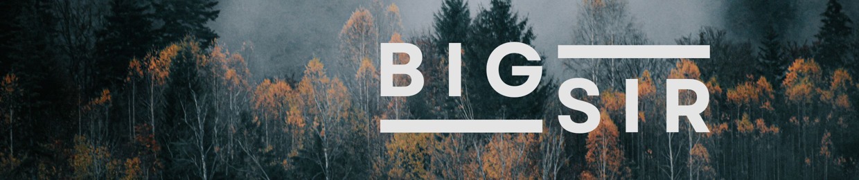 DJ BIG SIR