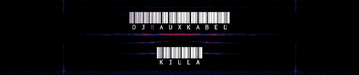 DJ AuxKabel