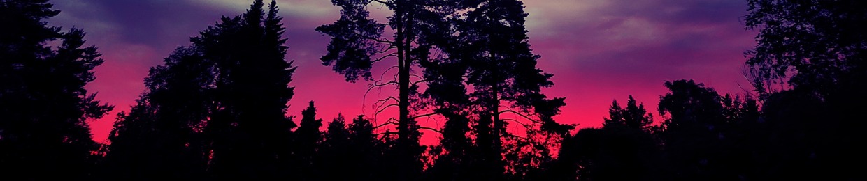 Syvällä Metsässä