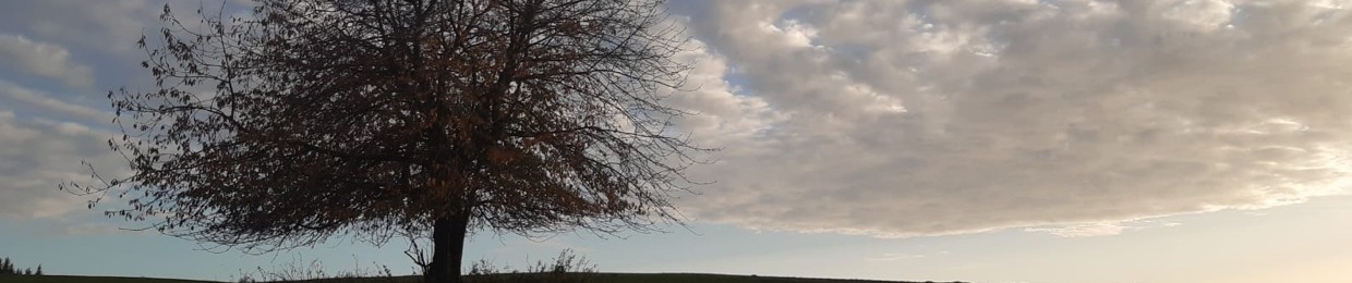 transitory