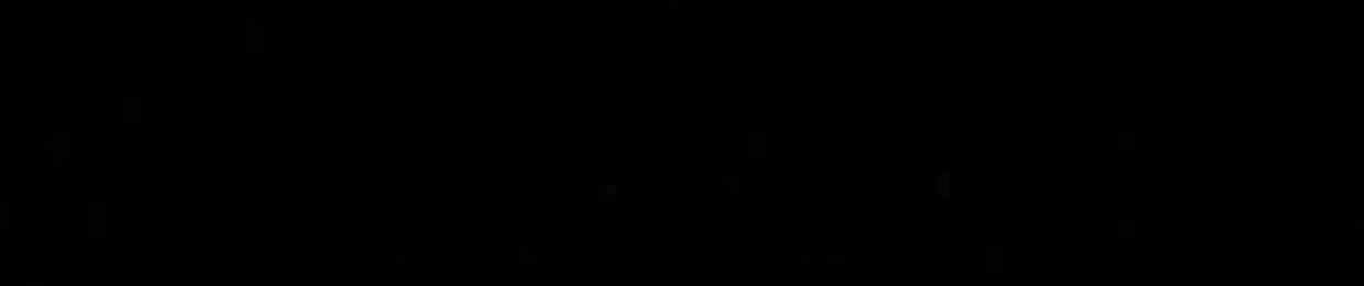 QuocTrieu