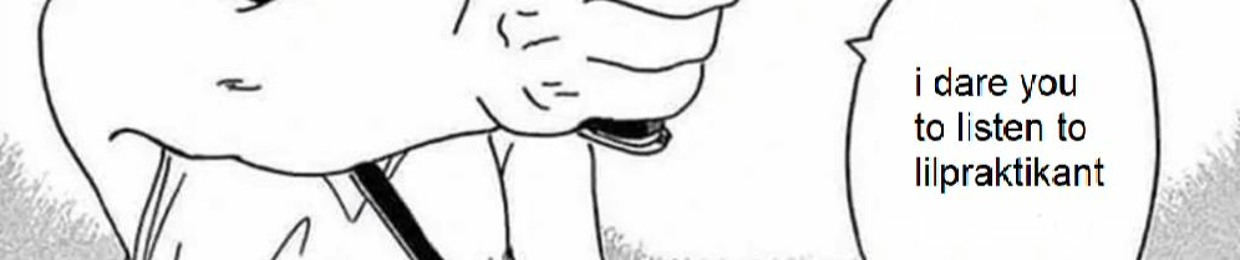 LilPraktikant