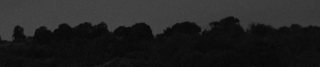 𝕯𝖔𝖒𝖎𝖓𝖎