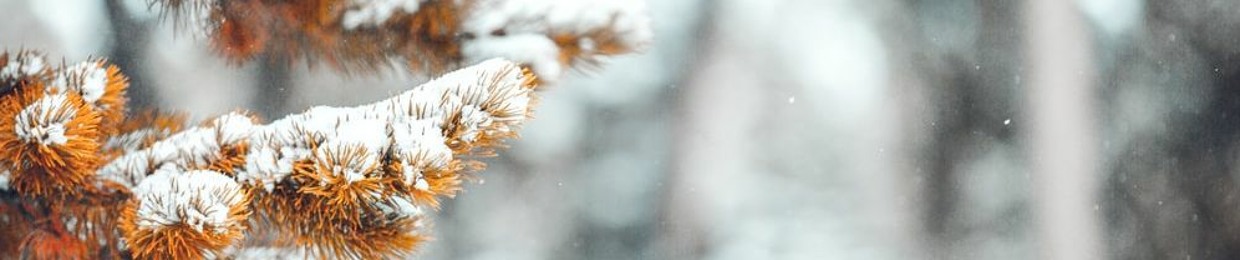 Hyeon In