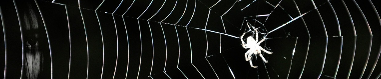 echoessence