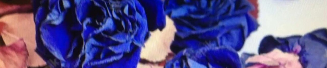 Blue Rose✨