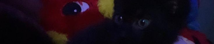 SoundCloud banner for @cliff
