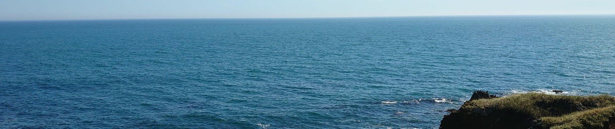 KOMAtsuda
