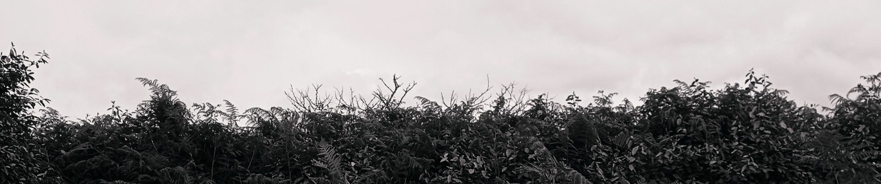 CoreVanne || Producer