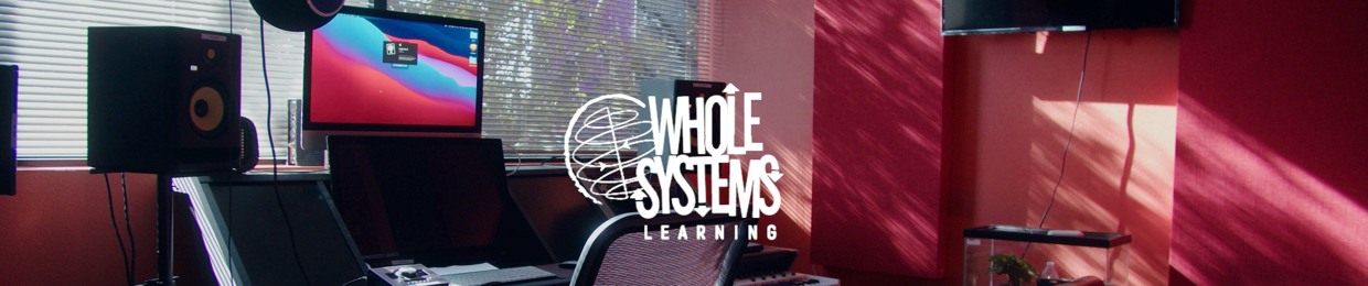 Whole Systems Learning