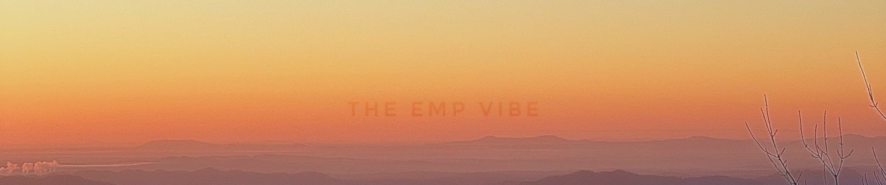 The EMP Vibe