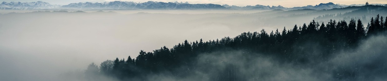 _tyristik