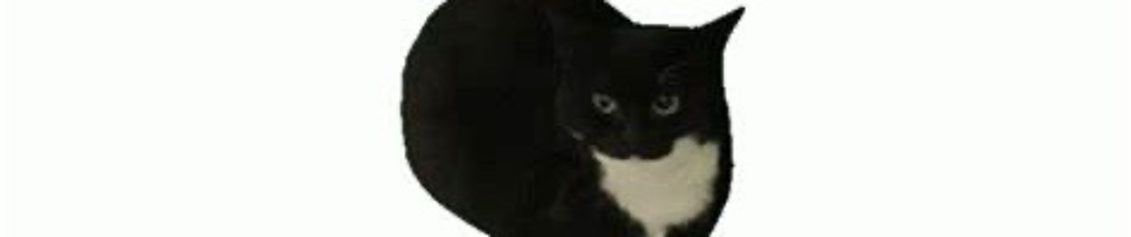 MAXWELLCAT