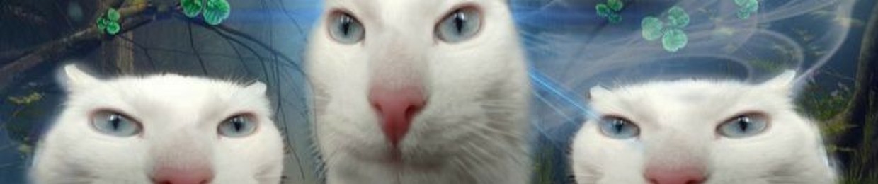 doobiekitty