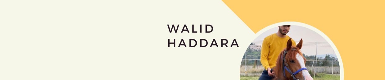 Walidhaddara05