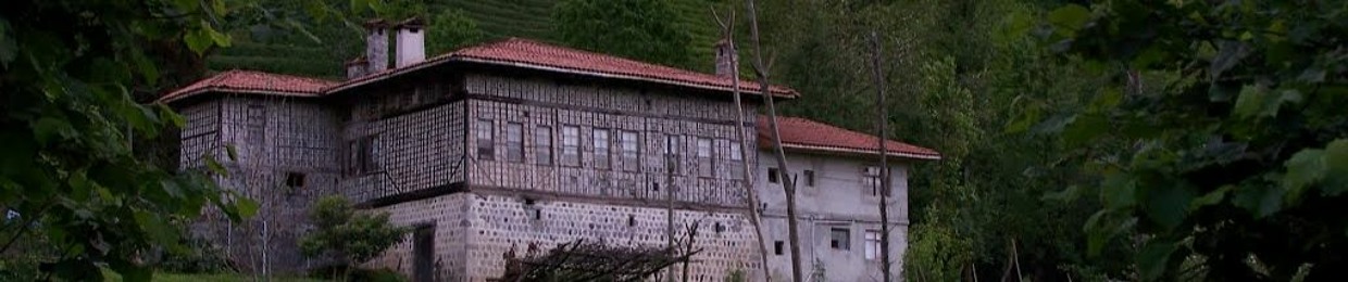 Mustafa İrtemek