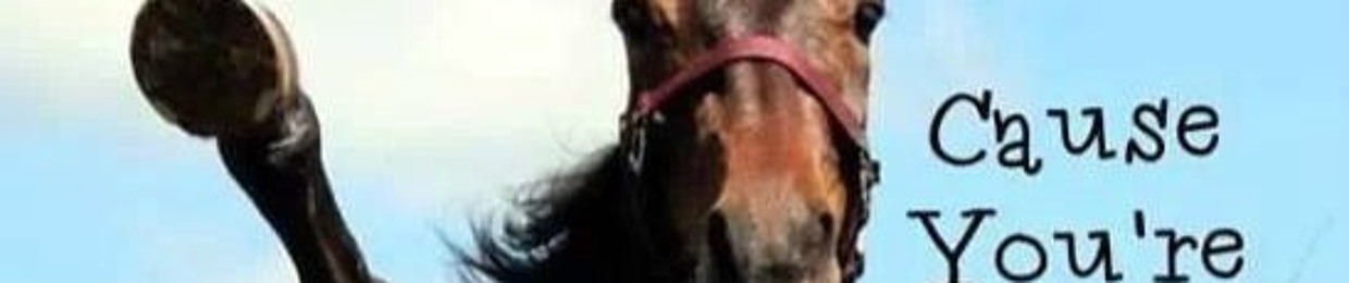funny horse