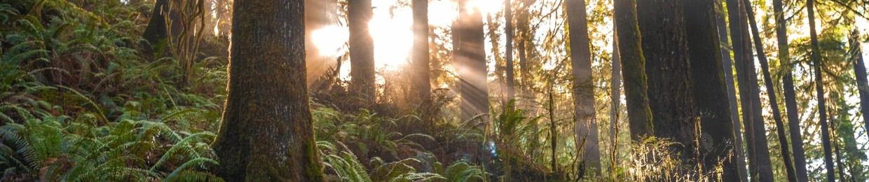 My Embodiment Journey