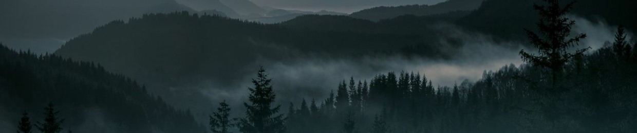 Richard Buzas