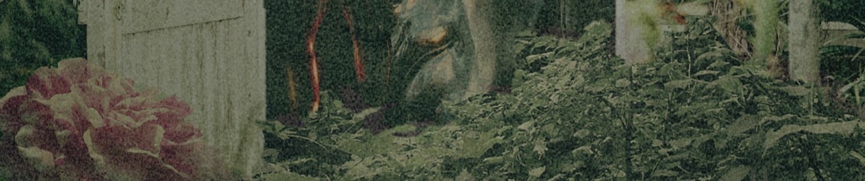 ORGANICソフトウェア.