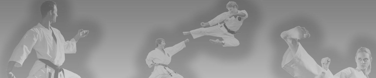 karatekid