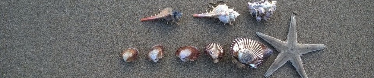 DIEPXUAN