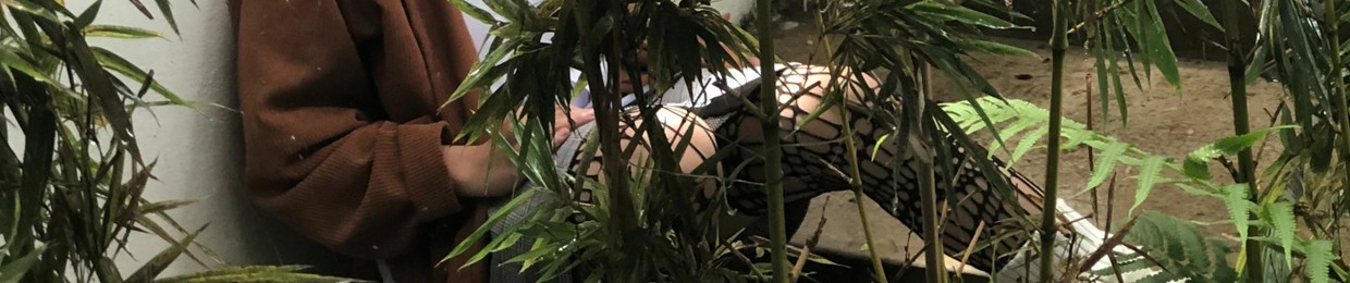Nam Nguyễn Trường Đình