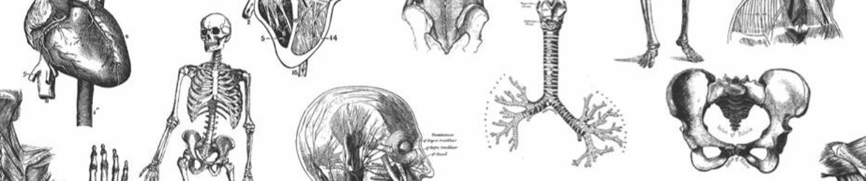 Saty Corpse