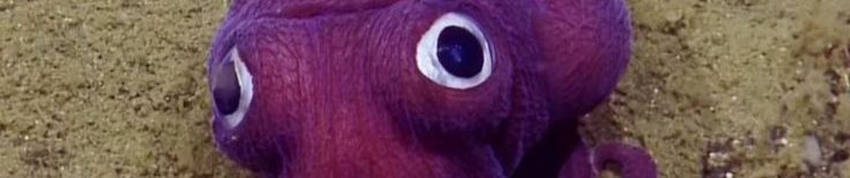 Thee.Greeatt.Squid