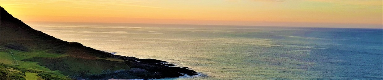 Devon Transformed Festival