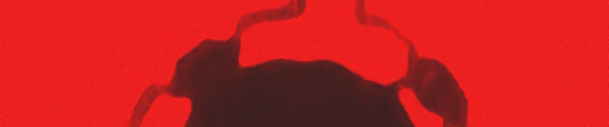 SoundCloud banner for @falsomoca