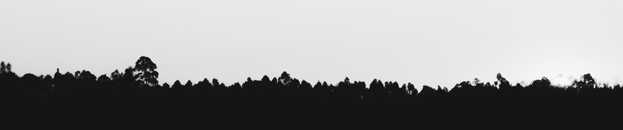 74