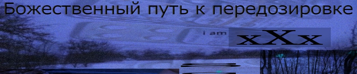 sslgd2