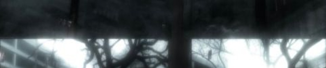 vws (stackrackzvws)