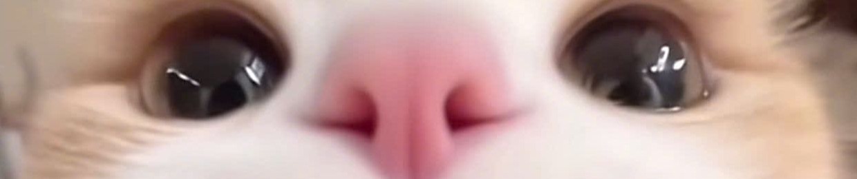 𝕹𝖍ạ𝖈𝕮𝖍ơ𝖎𝕳ả𝖎