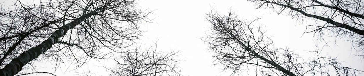 Dreadwood Prophecies
